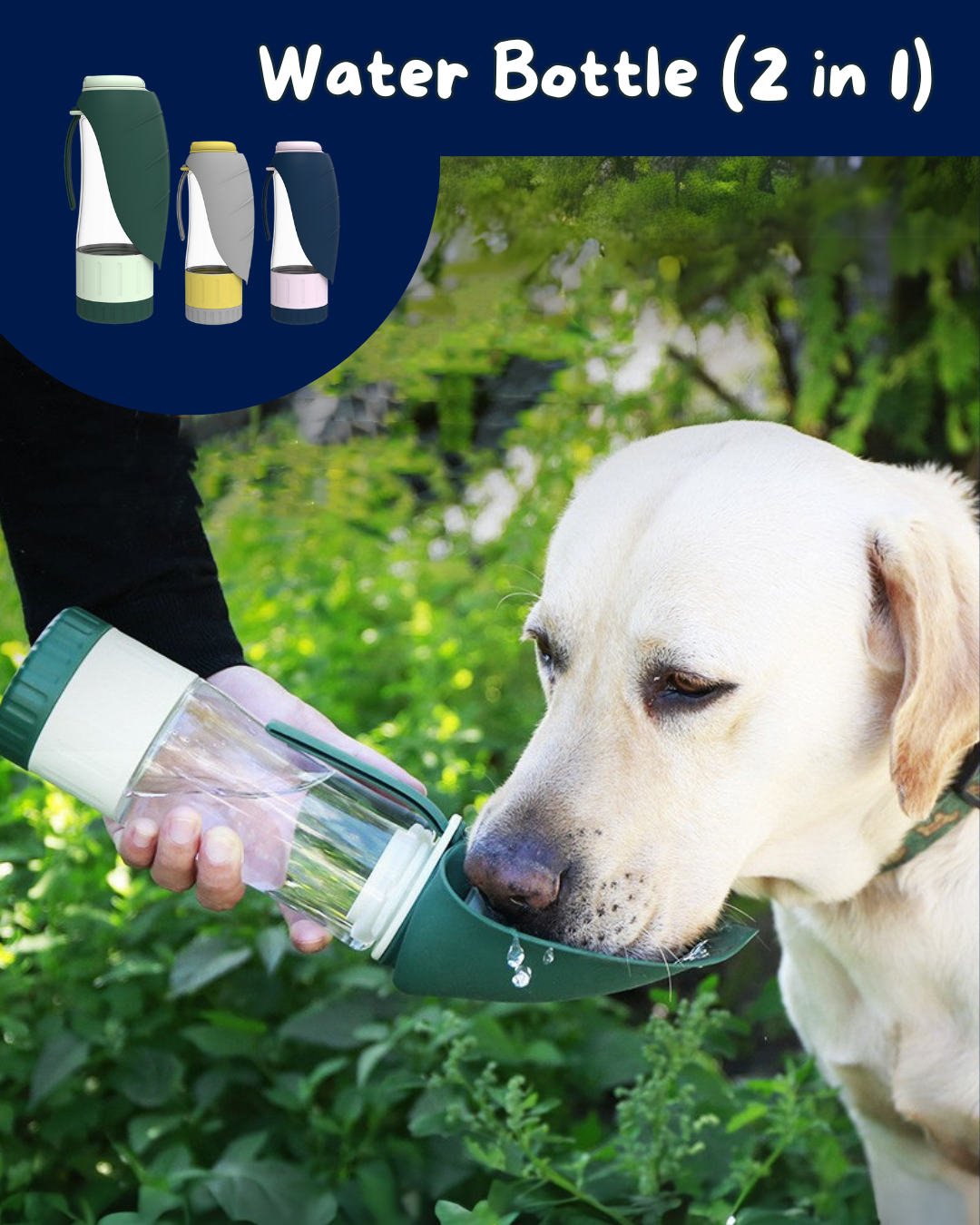 Water Bottle (2 in 1)