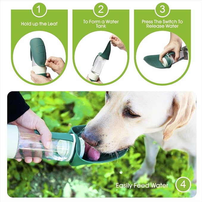 Water Bottle (2 in 1)