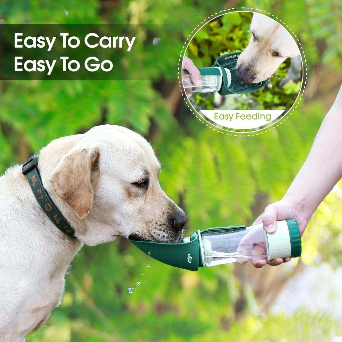 Water Bottle (2 in 1)