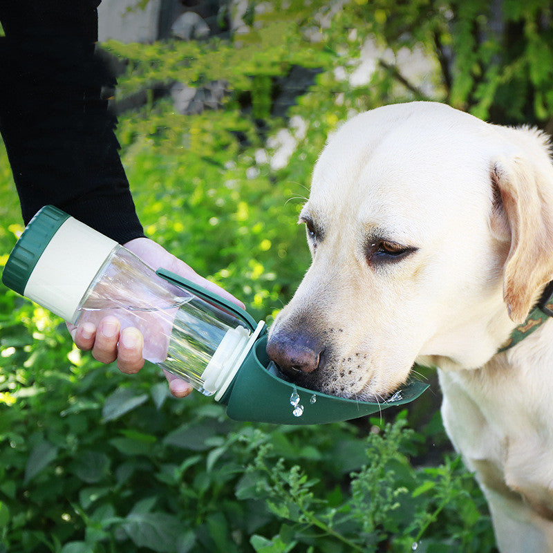 Water Bottle (2 in 1)