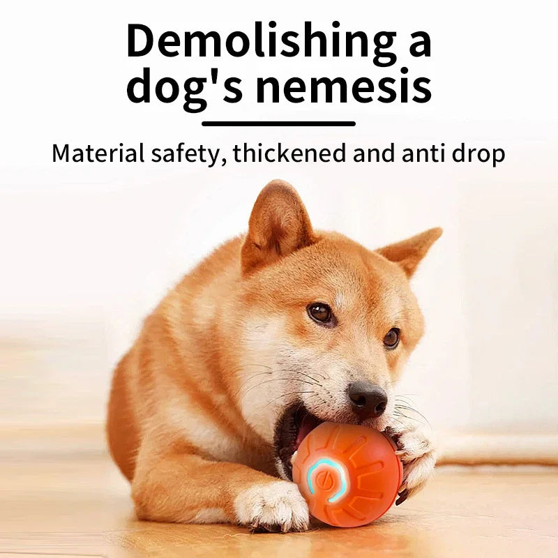 Smart Rolling Ball