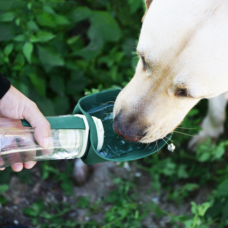 Water Bottle (2 in 1)